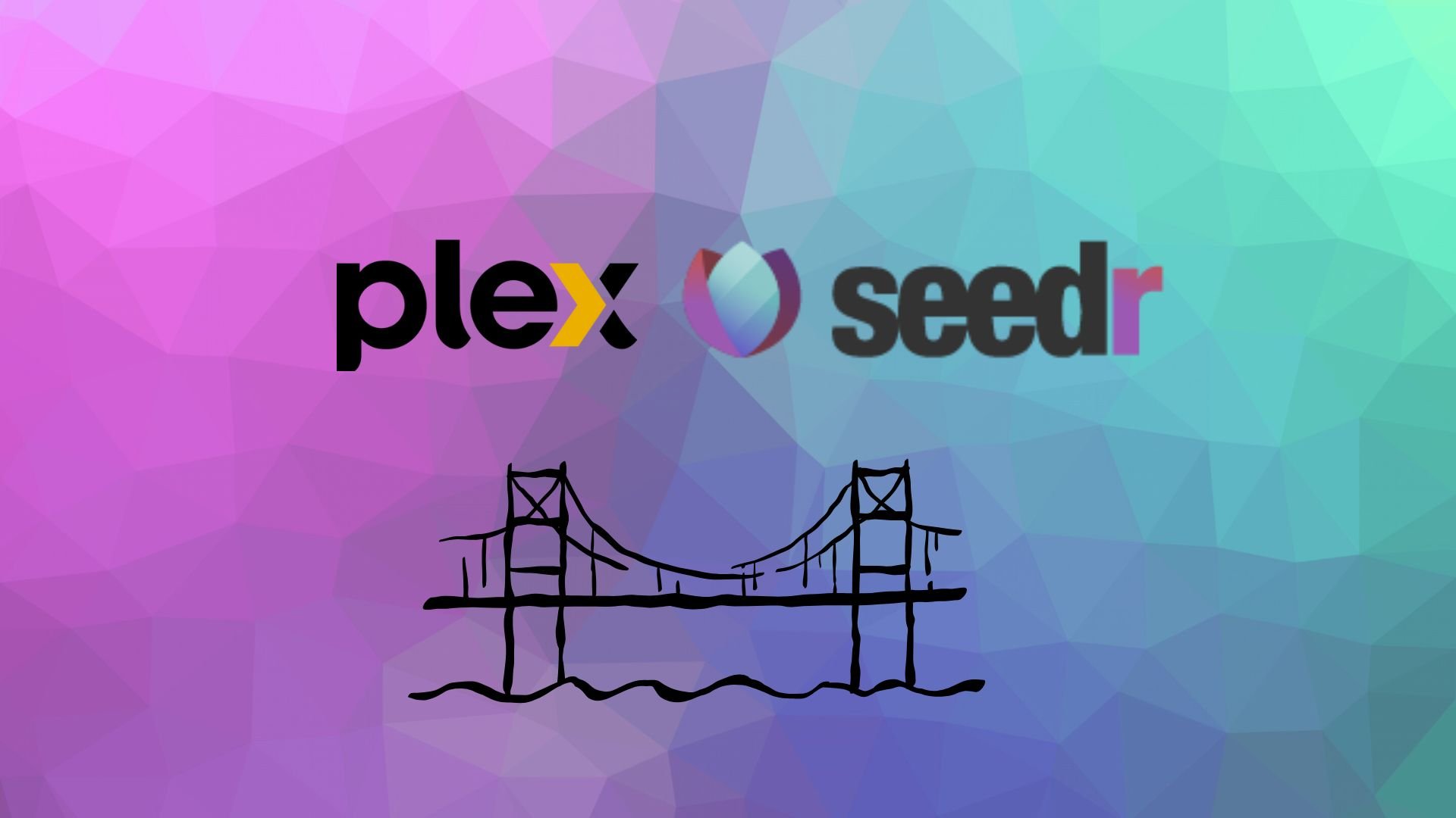 How To: connect Seedr and Plex with WebDAV